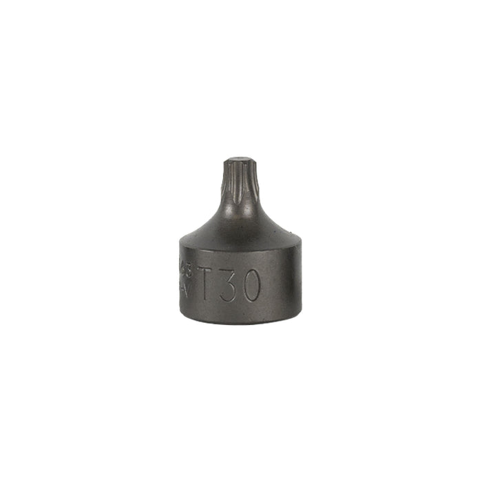 PUNTA TORX CORTA 3/8" T25 (REF.54546)