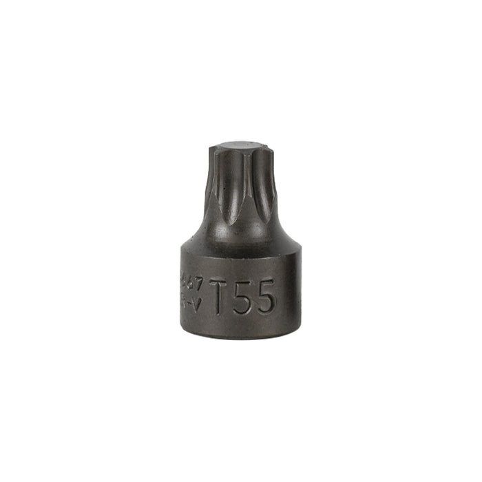 PUNTA TORX CORTA 3/8" T55 (REF.54546)