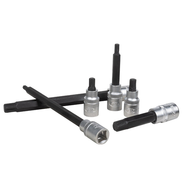 MALETÍN DE PUNTAS PARA TORNILLOS RIBE 32 PIEZAS