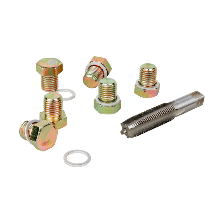 SET REPARADOR DE ROSCAS DE TAPÓN DE CÁRTER (M-13)