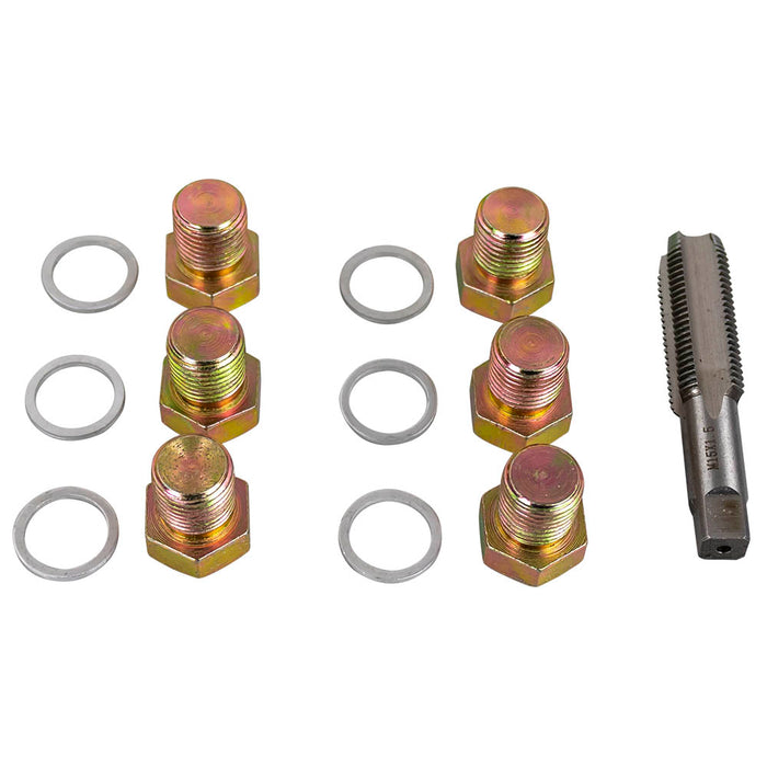 SET REPARADOR DE ROSCAS DE TAPÓN DE CÁRTER (M-17)