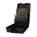 Ruko Juego de 25 brocas helicoidales FLOWSTEP® HSSE-Co 5