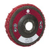 Calflex Disco base fibra 125x13x22,2